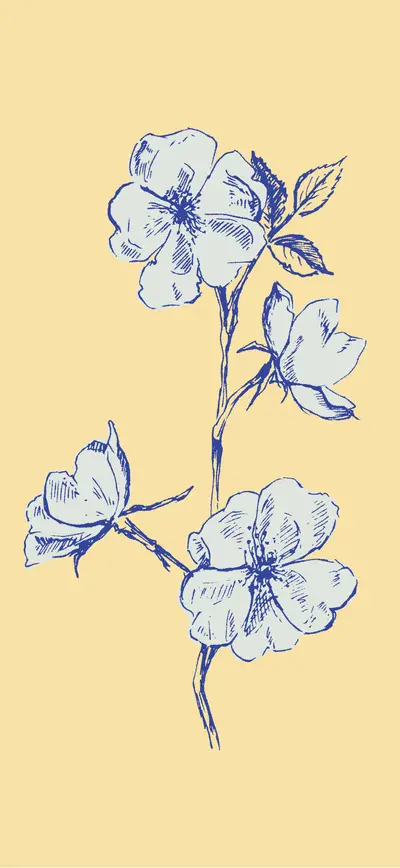 blue sketch roses butter yellow vintage
