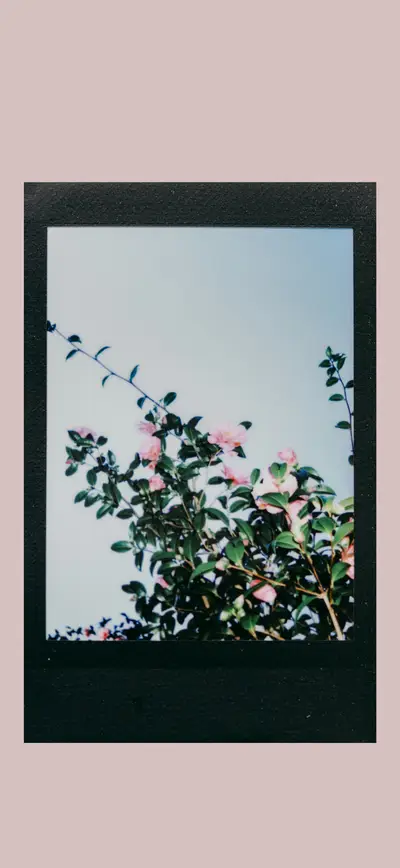 blush pink polaroid floral vintage