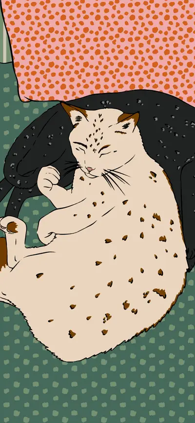 cozy illustrated sleeping cats teal pink