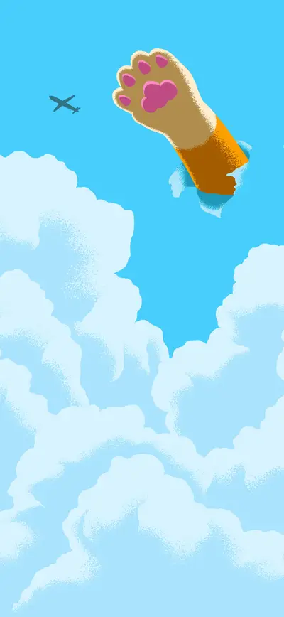 cute cat paw blue sky clouds