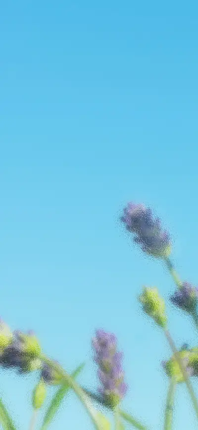 dreamy blue sky purple wildflowers glass
