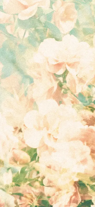 dreamy pastel peach roses cottagecore