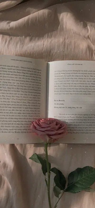 dusty pink rose open book aesthetic