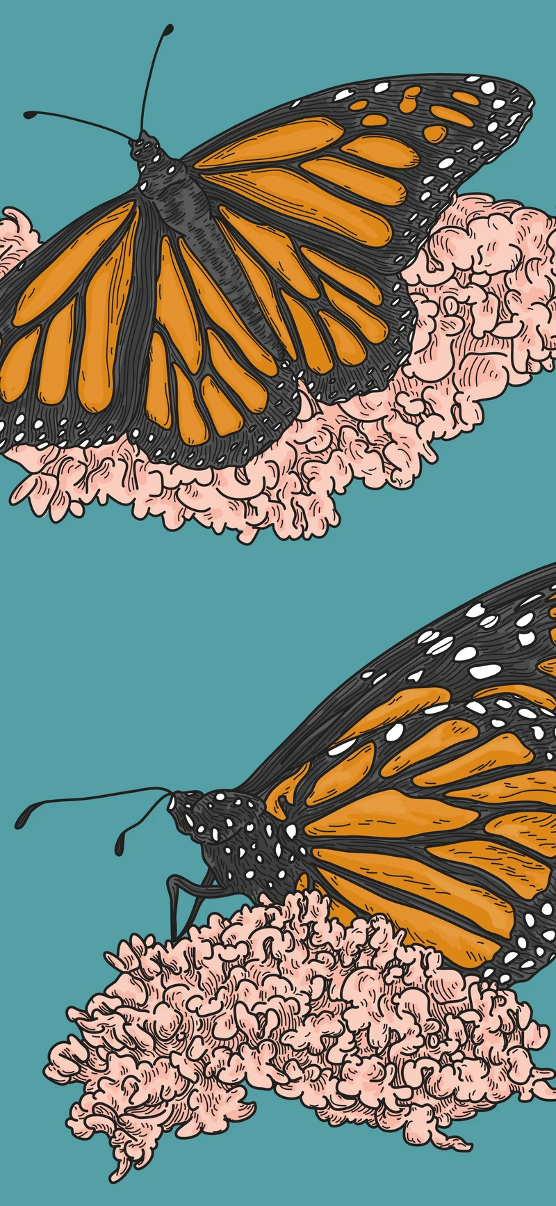 teal monarch butterfly illustrated floral