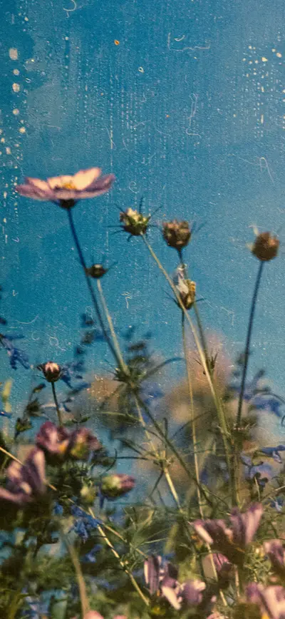 vintage blue sky wildflowers film