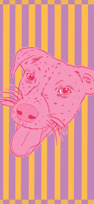 y2k pink dog purple yellow stripes