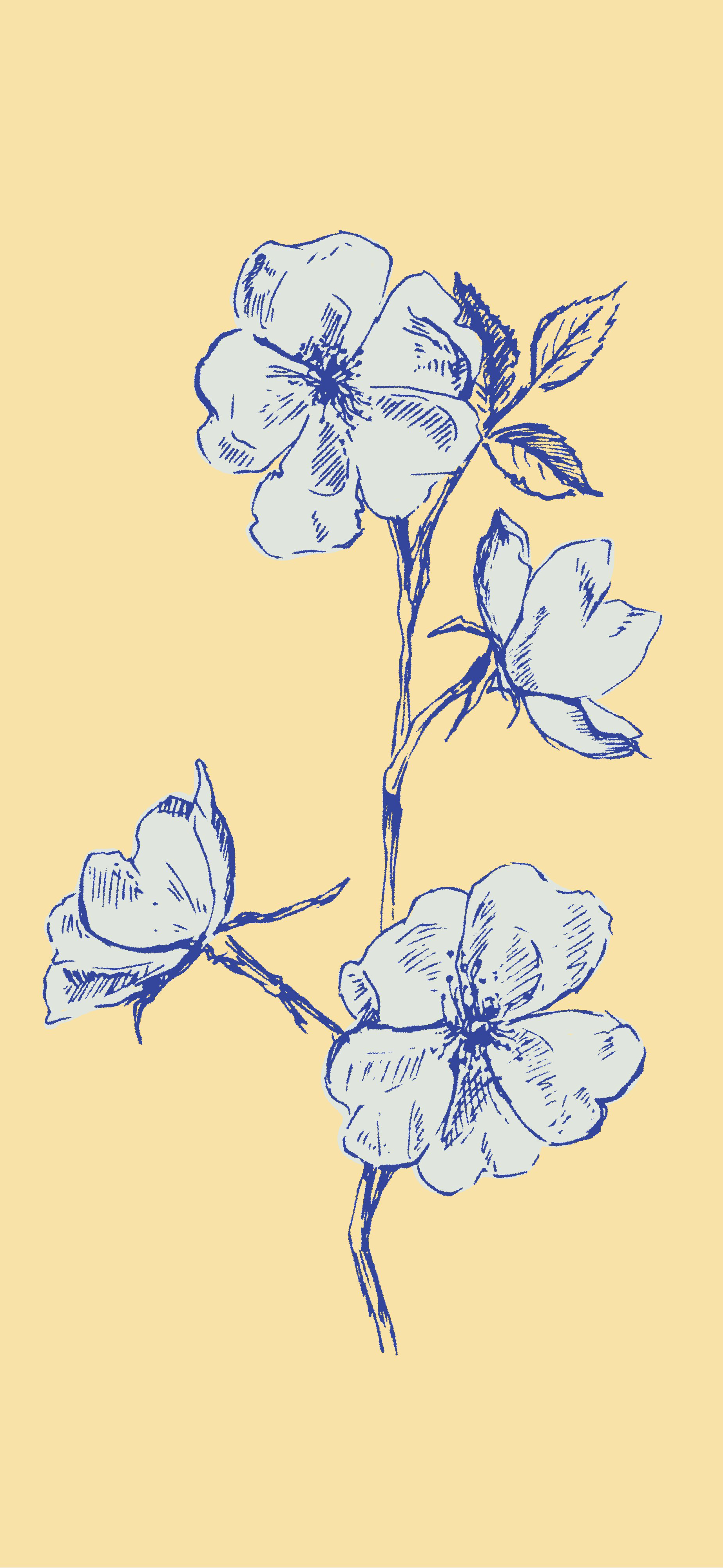 blue sketch roses butter yellow vintage