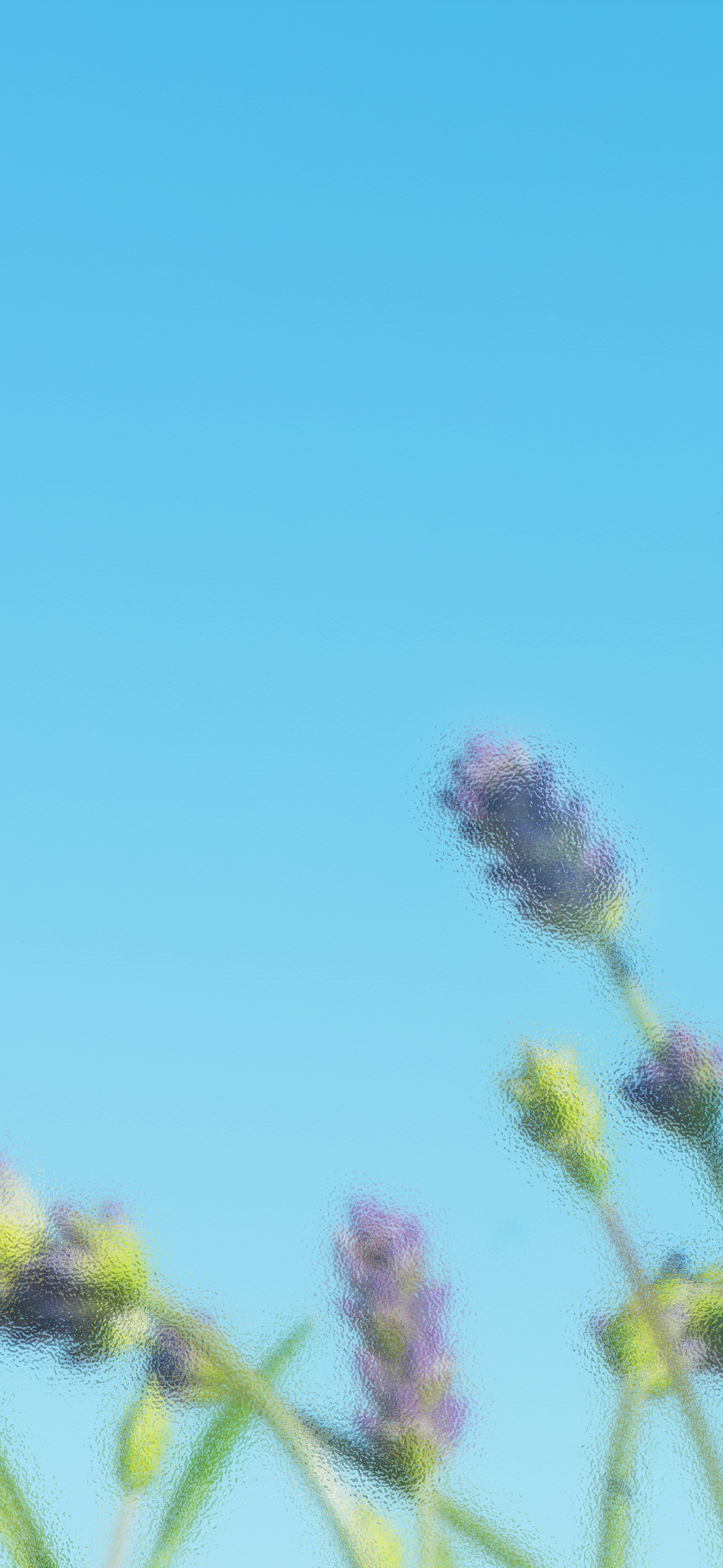 dreamy blue sky purple wildflowers glass