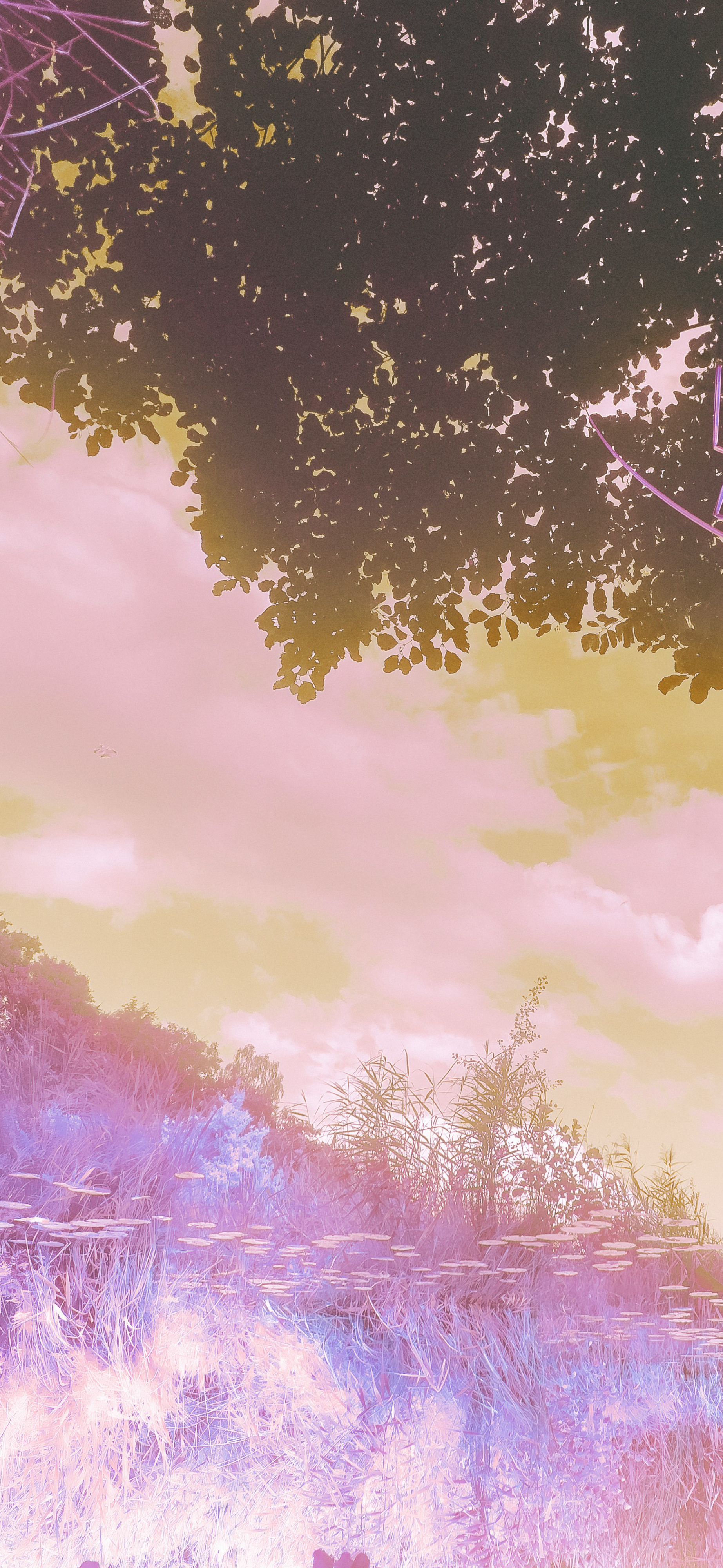 dreamy pink inverted nature sky