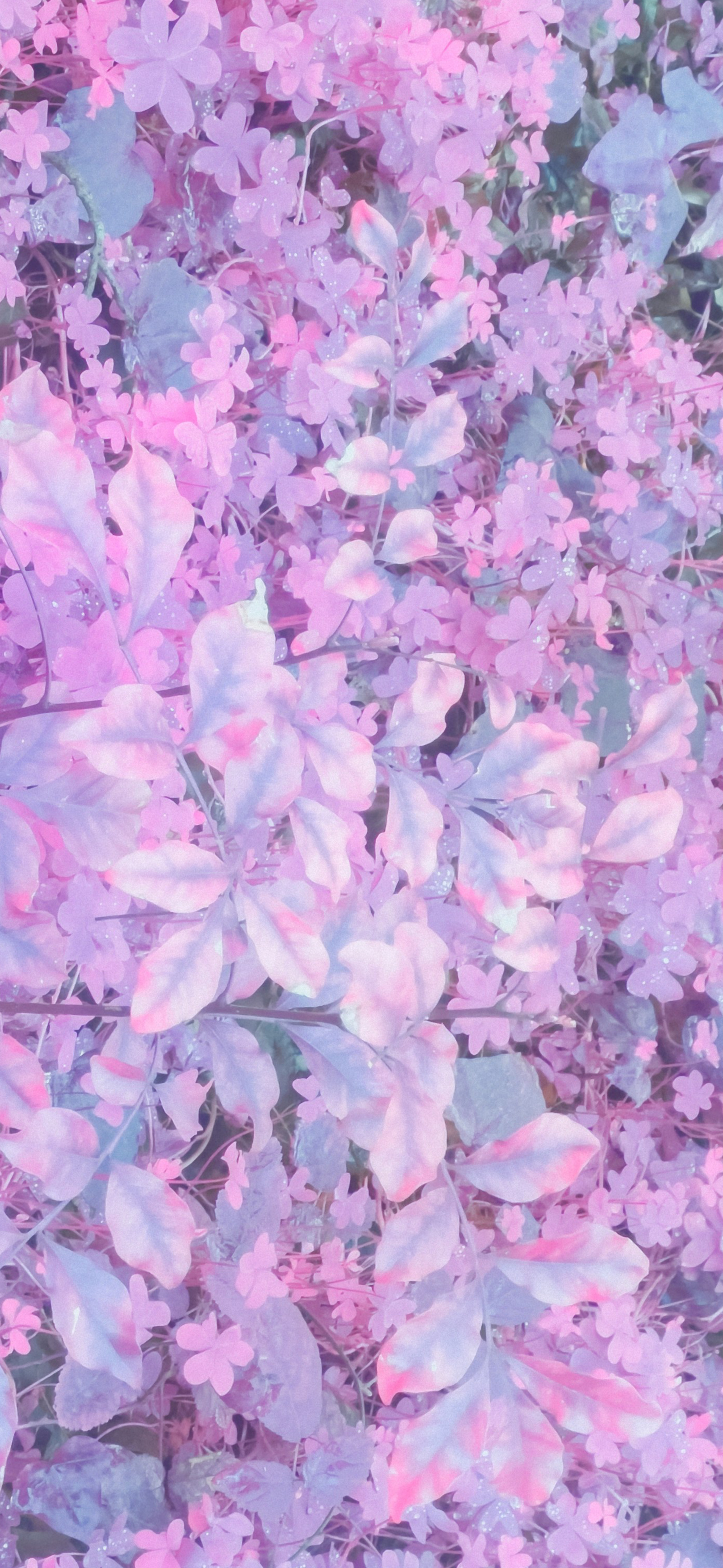 dreamy pink lavender floral leaves