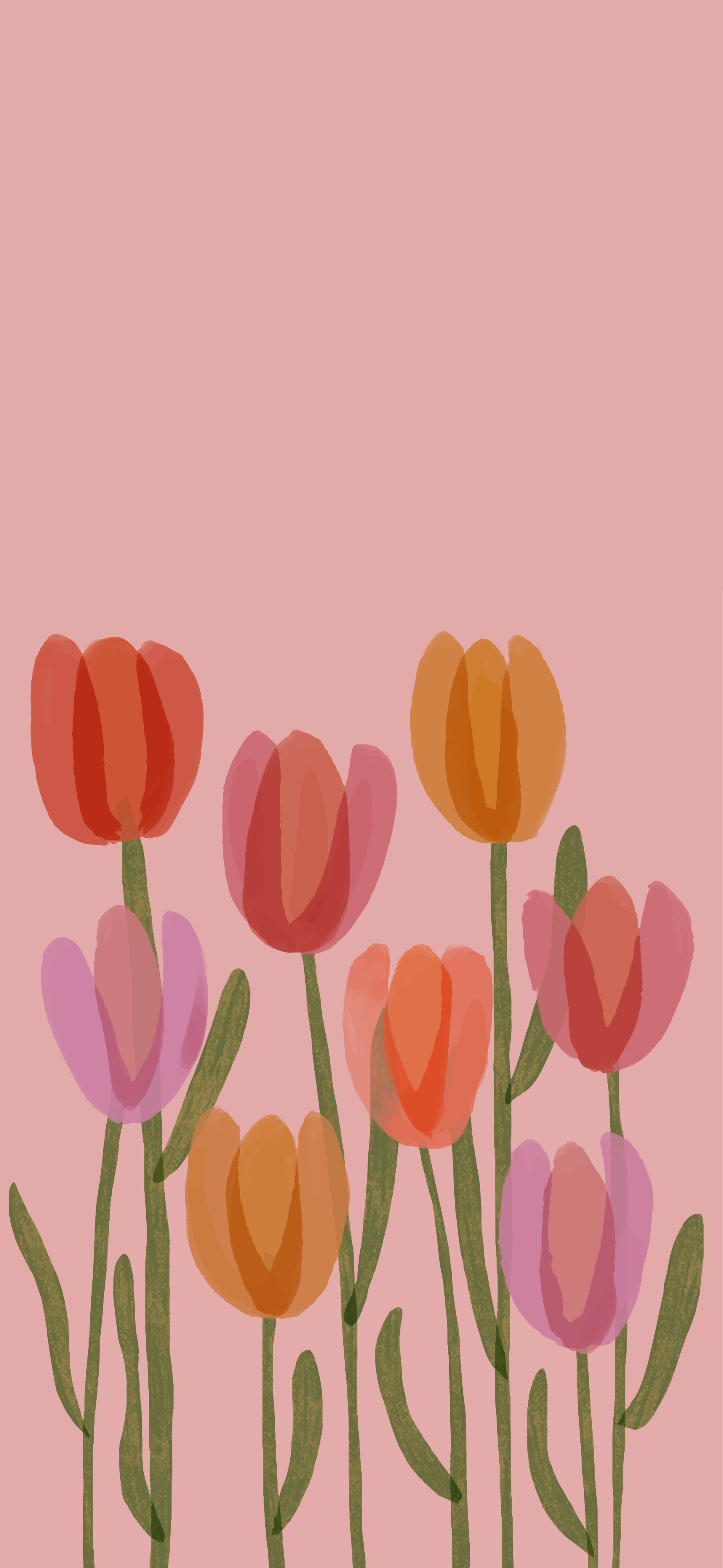 pastel pink illustrated tulips spring